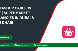 Apply Online for Instashop Careers and Employment in Dubai, UAE