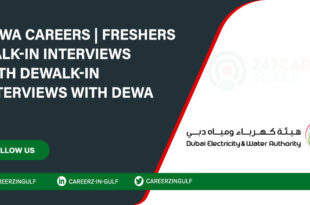 DEWA Careers