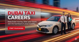Job Listings at Dubai Taxi, most Popular Transportation Company in UAE